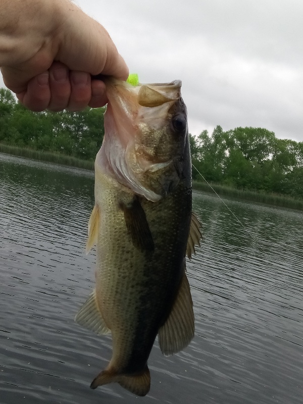 2 pounder Indian mills lake